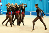 © ВФЭГ (RFAG)