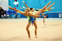 © ВФЭГ (RFAG)