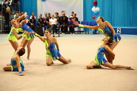 © ВФЭГ (RFAG)