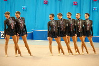 © ВФЭГ (RFAG)