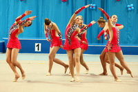 © ВФЭГ (RFAG)