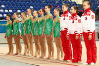 © ВФЭГ (RFAG)