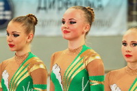 © ВФЭГ (RFAG)