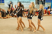 © ВФЭГ (RFAG)
