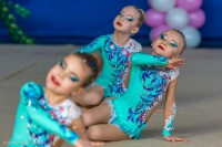 © ВФЭГ (RFAG)