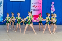 © ВФЭГ (RFAG)
