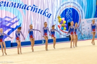 © ВФЭГ (RFAG)