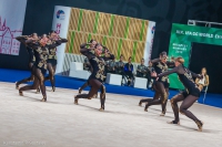 © ВФЭГ (RFAG)