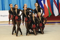 © ВФЭГ (RFAG)
