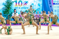 © ВФЭГ (RFAG)