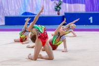 © ВФЭГ (RFAG)