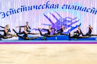 © ВФЭГ (RFAG)