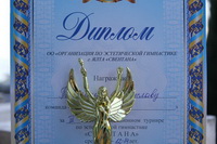 © ВФЭГ (RFAG)