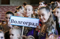 © ВФЭГ (RFAG)
