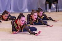 © ВФЭГ (RFAG)