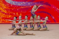 © ВФЭГ (RFAG)