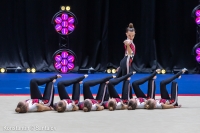 © ВФЭГ (RFAG)