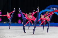 © ВФЭГ (RFAG)