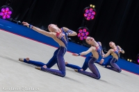 © ВФЭГ (RFAG)