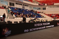 © ВФЭГ (RFAG)