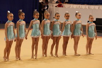 © ВФЭГ (RFAG)