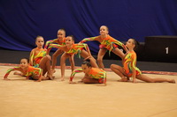© ВФЭГ (RFAG)