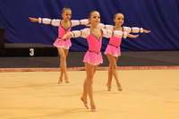 © ВФЭГ (RFAG)