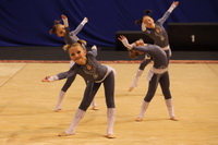 © ВФЭГ (RFAG)