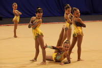 © ВФЭГ (RFAG)