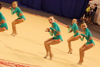 © ВФЭГ (RFAG)