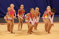 © ВФЭГ (RFAG)