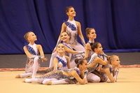 © ВФЭГ (RFAG)