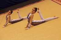 © ВФЭГ (RFAG)