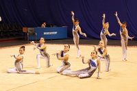 © ВФЭГ (RFAG)