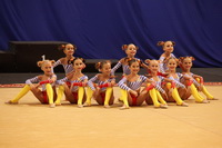 © ВФЭГ (RFAG)