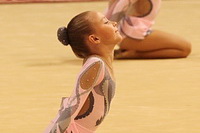 © ВФЭГ (RFAG)