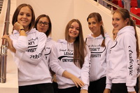 © ВФЭГ (RFAG)
