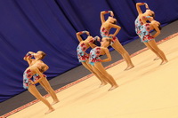 © ВФЭГ (RFAG)