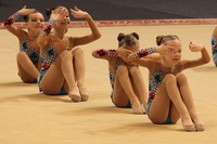© ВФЭГ (RFAG)