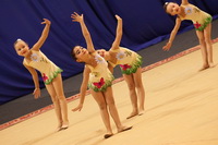 © ВФЭГ (RFAG)