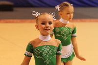 © ВФЭГ (RFAG)