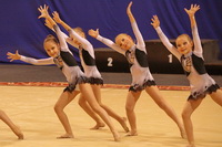 © ВФЭГ (RFAG)