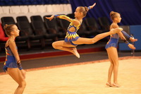 © ВФЭГ (RFAG)