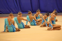 © ВФЭГ (RFAG)