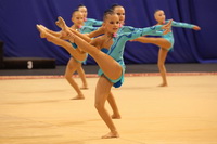 © ВФЭГ (RFAG)