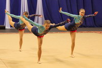 © ВФЭГ (RFAG)