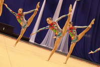 © ВФЭГ (RFAG)
