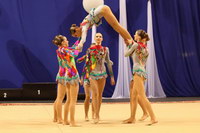 © ВФЭГ (RFAG)