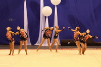 Команда "Феникс", Москва<br>© ВФЭГ (RFAG)