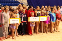 © ВФЭГ (RFAG)